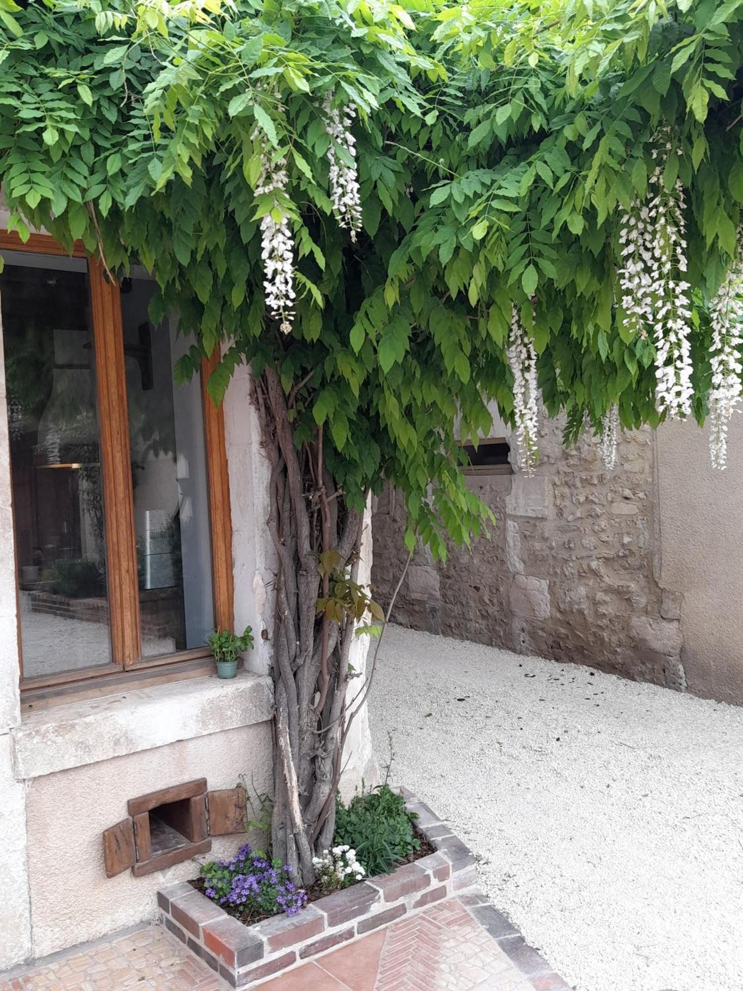 Aux Sources De Ouanne Bed & Breakfast Екстериор снимка